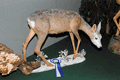 2005-capriolo